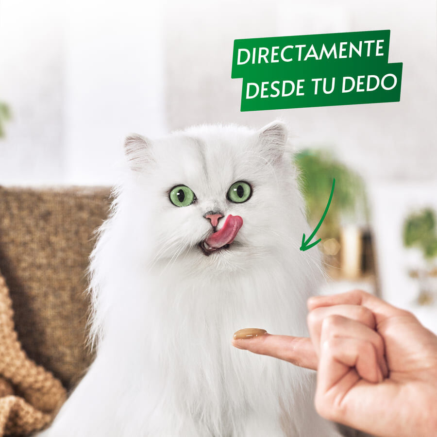 5 saquetas x 10 g Gourmet Nature's Creations Snack H&uacute;mido de Boi para gatos, , large Imagem n&uacute;mero 6